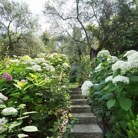 Claudia With Private Pool Vila